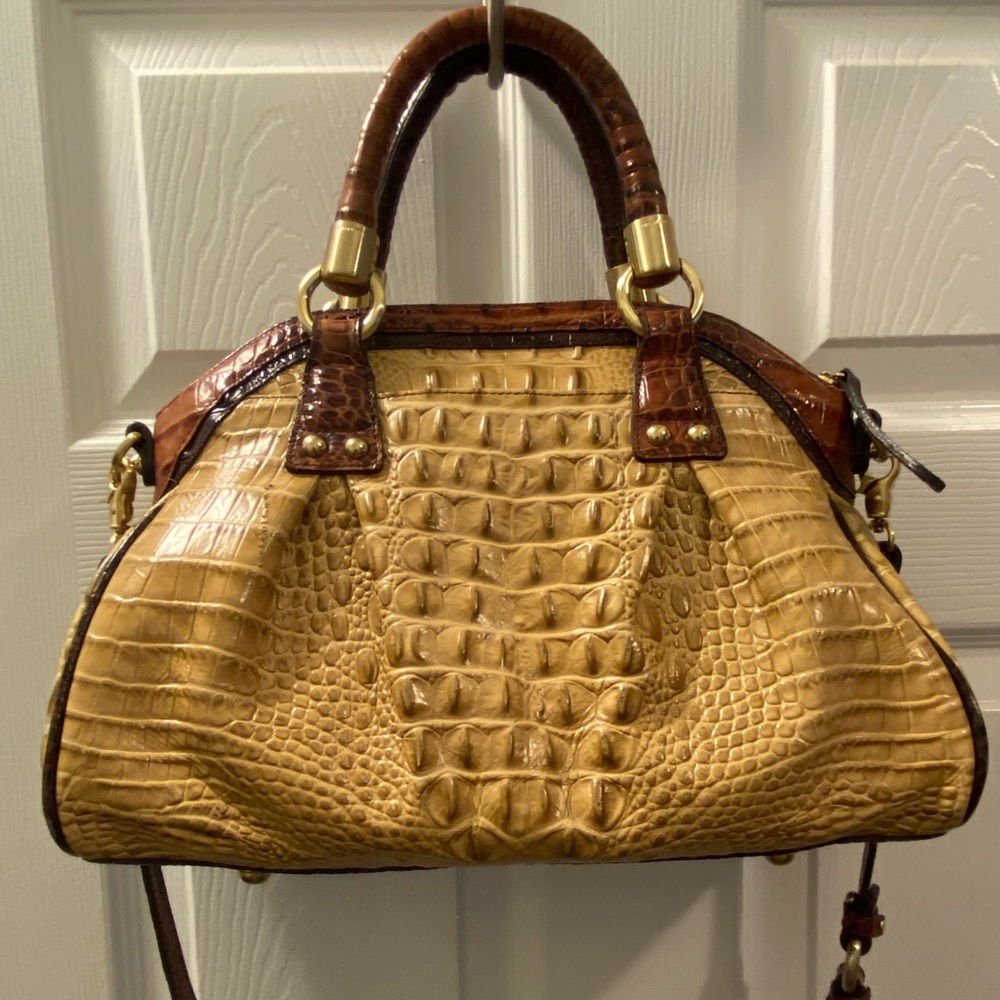 Tri-Color Brahmin Lisa Praline Satchel w/Wallet